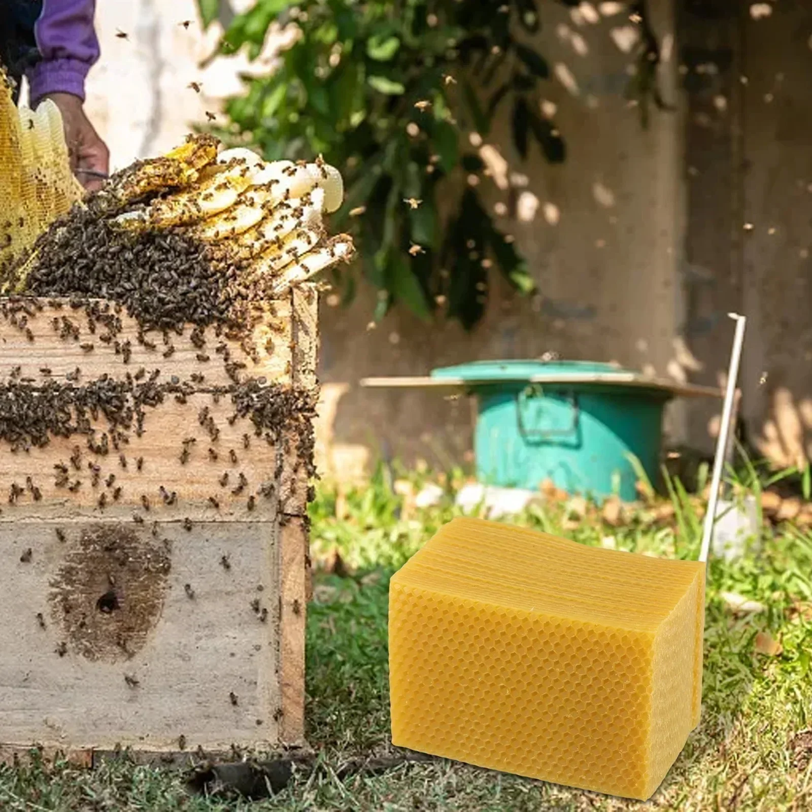 Beehive 용품 Beehive 재단 DIY 공예 5 - Beeswax Sheet Roll 리뷰 및 가격