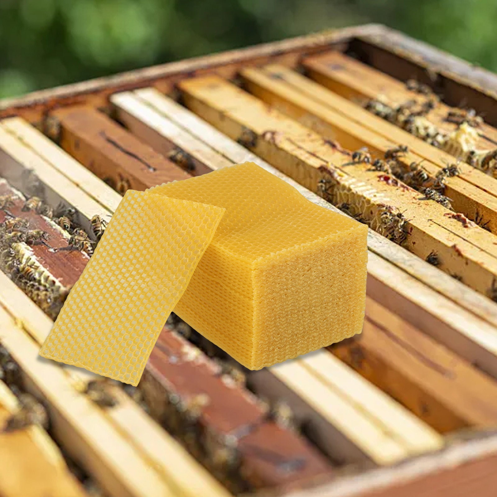 5.24 X 3.54 벌집 기초 왁스 시트 DIY 프로 - Beeswax Sheet Roll 리뷰 및 가격